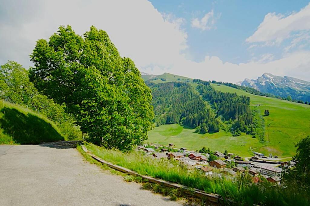 Appartement Cozy Dans Chalet 6 Pers Voiture 4 Roues Motrice A Dispo La Clusaz Esterno foto